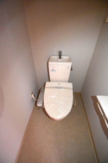 �y�g�C���z�@