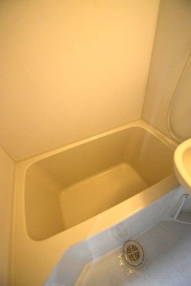 �y�o�X�z�@