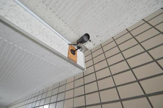 �h�ƃJ�����t��