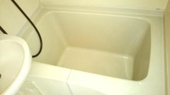 �y�o�X�z�@