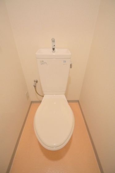 �y�g�C���z�@