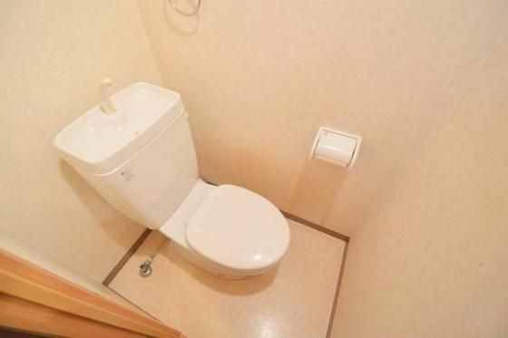 �y�g�C���z�@