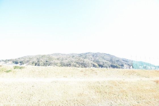 �y���]�z�@