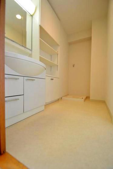 �y���ʏ��z�@�E�ߏ�L���