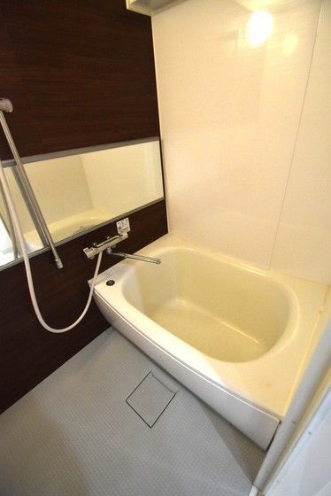 �y�o�X�z�@