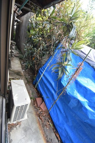 �y���̑��z�@