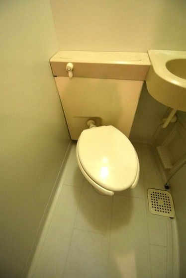 �y�g�C���z�@