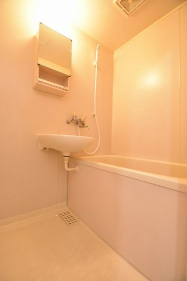 �y�o�X�z�@