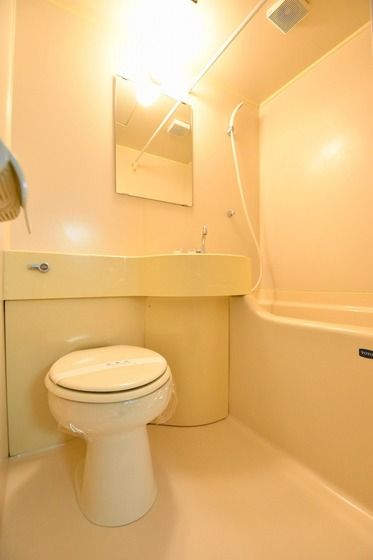 �y�g�C���z�@