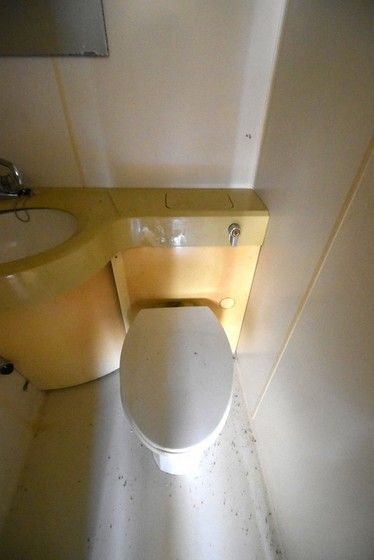 �y�g�C���z�@