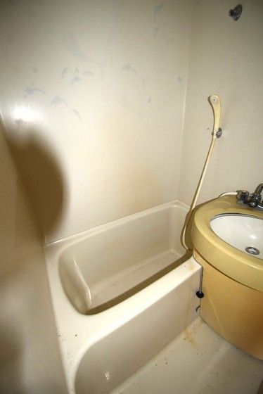 �y�o�X�z�@