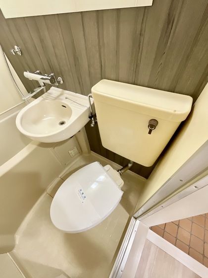 �y�g�C���z�@