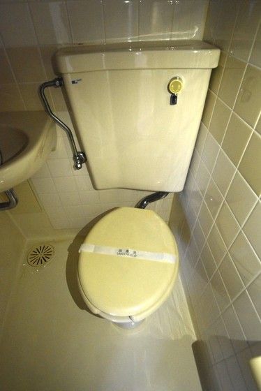 �y�g�C���z�@