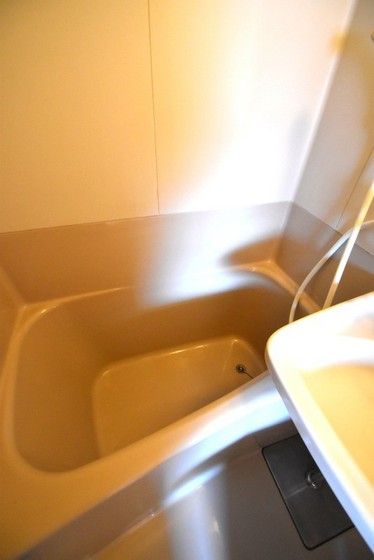 �y�o�X�z�@