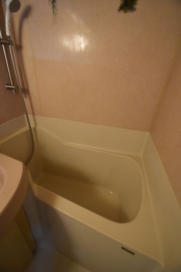 �y�o�X�z�@