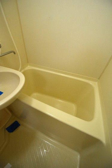 �y�o�X�z�@