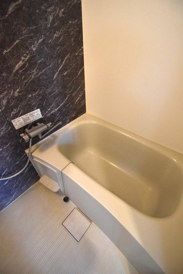 �y�o�X�z�@