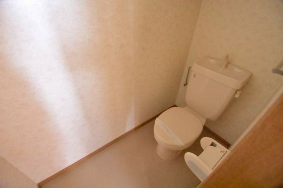 �y�g�C���z�@