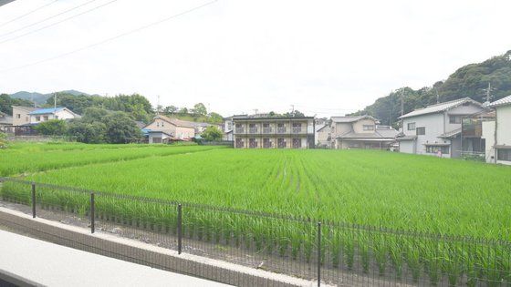 �y���]�z�@