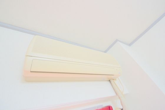 �y���̑��ݔ��z�@�a��6���E�G�A�R���A�Ɩ��t(^O^)