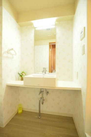 �y���ʏ��z�@�傫�Ȑ��ʑ�E�V�����v�[�h���b�T�[