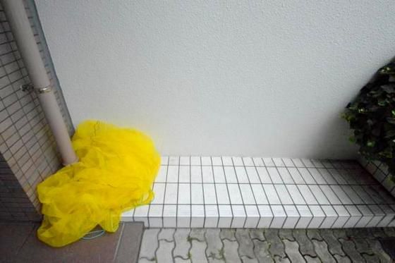 �~�n����p�S�~�̂ď�