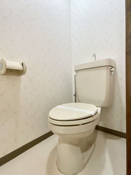 �y�g�C���z�@