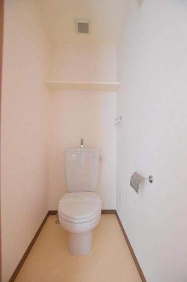 �y�g�C���z�@