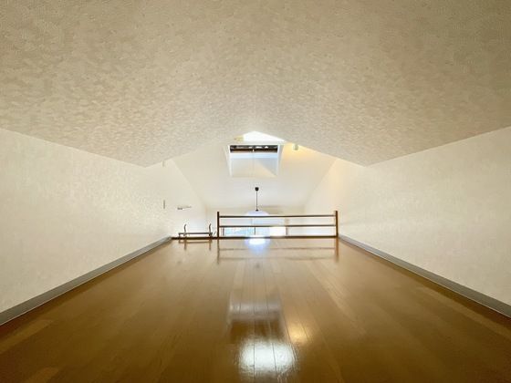 �y���̑��z�@�L�X���t�g���V����