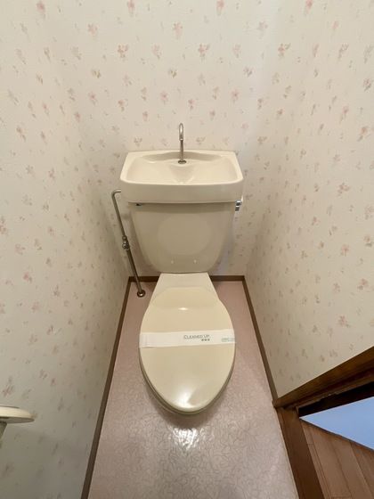 �y�g�C���z�@