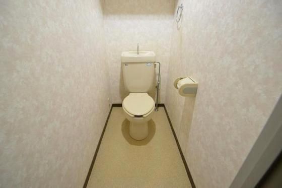 �y�g�C���z�@�������o�X�g�C���ʁI
