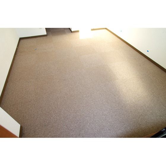 �y�����E���r���O�z�@