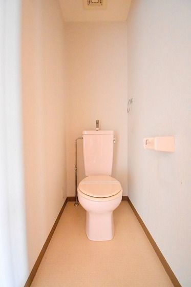 �y�g�C���z�@